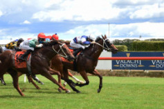 Go Racing | Raposa Rapida Winning at Te Rapa