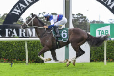 Go Racing | Mubariz Winning at Warwick Farm