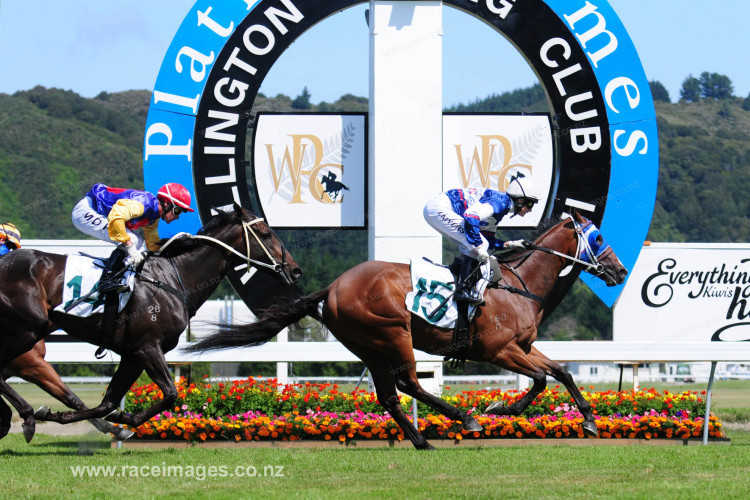 Charlestown back to winning ways