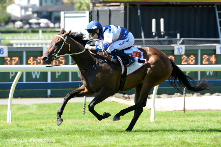 Tears makes it two years in a row with Mr Tiz trophy