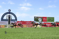 Go Racing | Lord Ardmore Winning at Rosehill Gardens