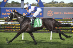 Go Racing | Wairere Falls Winning at Royal Randwick