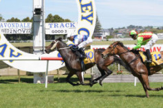 Go Racing | Sadler's Chick Winning at Avondale