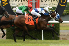 Go Racing | Ruud Not Too Winning at Te Rapa
