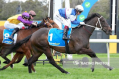 Go Racing | Rock Them Jools Winning at Sandown