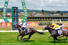 Go Racing | Lucky Country Winning at Tauranga