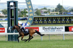 Go Racing | Passing Shot Winning at Tauranga