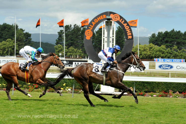 Thorn Pass is Derby Bound