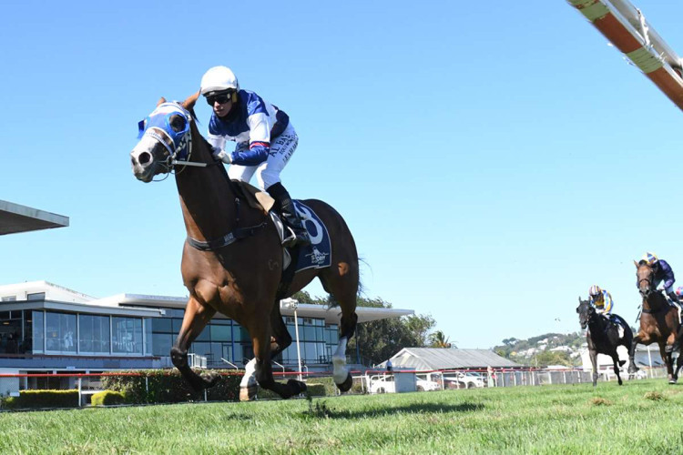 Apache Anne Oaks bound