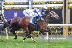 Go Racing | Skyman Winning at Flemington