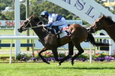 Go Racing | No More Tears Winning at Ellerslie