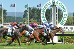 Go Racing | Attivaree Winning at Awapuni