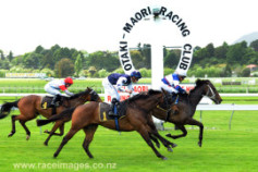 Go Racing | Thorn Pass Winning at Otaki