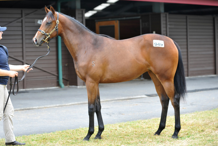 Final shares in Makfi filly
