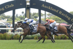 Go Racing | Raposa Rapida Winning at Ellerslie