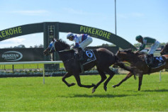 Go Racing | Crystal Falls Winning at Pukekohe