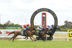 Go Racing | Might Winning at Te Rapa