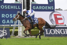 Go Racing | Lord Ardmore Winning at Rosehill Gardens