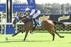 Go Racing | Tajanis Winning at Canterbury Park