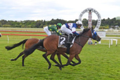 Go Racing | Manzor Blue Winning at Otaki