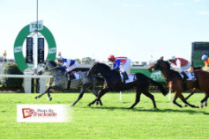 Go Racing | Sayl Winning at Doomben