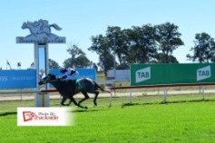 Go Racing | Man Of Sinn Winning at Beaudesert