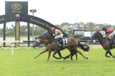 Go Racing | Quick Preview Winning at Ellerslie