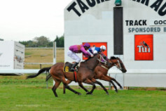 Go Racing | Sadlers Rock Winning at Tauherenikau