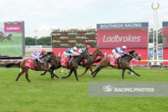 Go Racing | Faraway Dream Winning at Cranbourne
