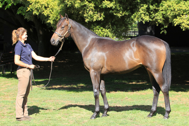 Trans-Tasman ticket booked