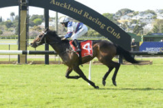 Go Racing | Make Time Winning at Ellerslie