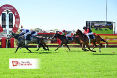 Go Racing | Shibli Winning at Doomben