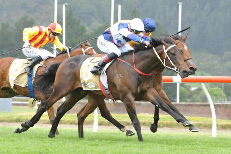 Exuberant to step out at Riccarton