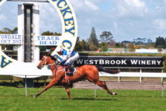 Go Racing | Ruud Awakening Winning at Avondale