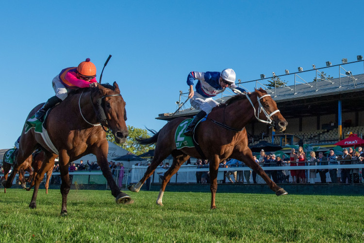 Alward takes out Toowoomba Cup