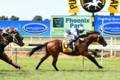 Go Racing | Passing Shot Winning at Taranaki
