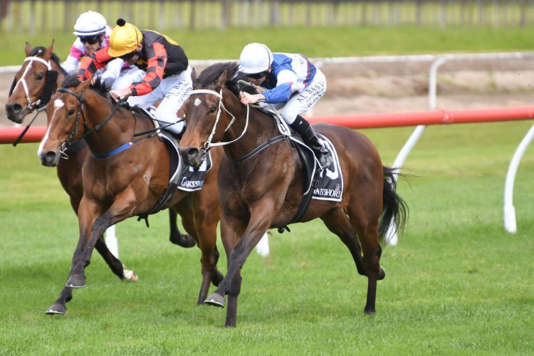 Go Racing three-year-olds on the rise [Go Racing]