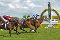 Go Racing | Taipa Tiger Winning at Wanganui
