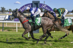 Go Racing | Count On Me Winning at Hawkesbury