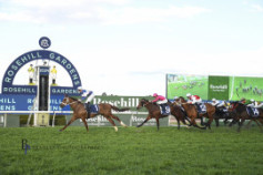 Go Racing | Etna Rosso Winning at Rosehill Gardens