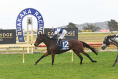 Go Racing | With Grace Winning at Ruakaka