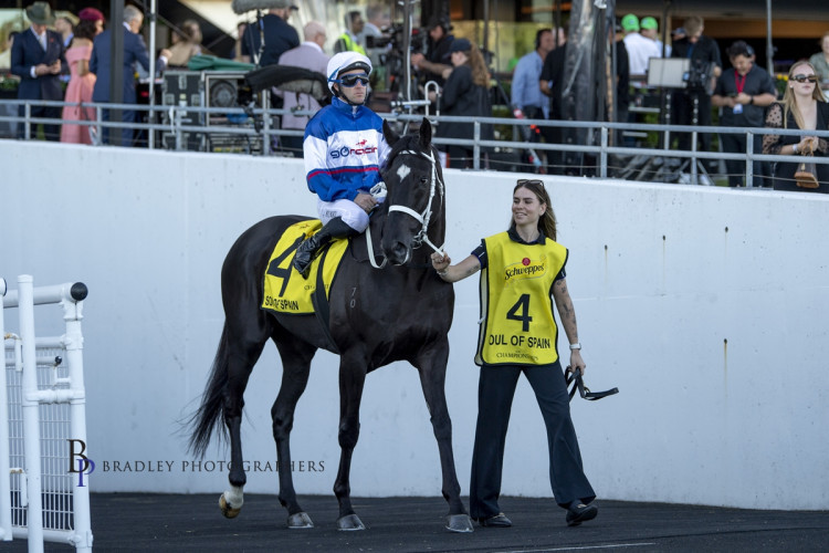 Melbourne Cup looms for Go Racing