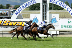 Go Racing | Prince Mambo Winning at Matamata