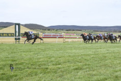 Go Racing | Saveadateforme Winning at Goulburn