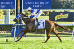 Go Racing | Quality Time Winning at Canterbury Park