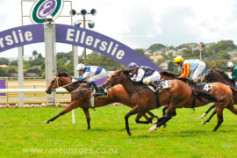 Go Racing | Ruud Awakening Winning at Auckland