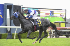 Go Racing | Duke Of Gordon Winning at Wyong