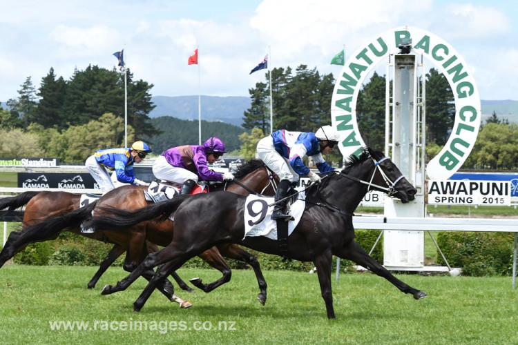Black beauty gallops home in green win