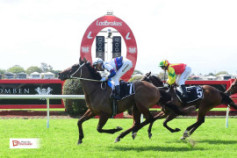 Go Racing | Bitoftheblarney Winning at Doomben