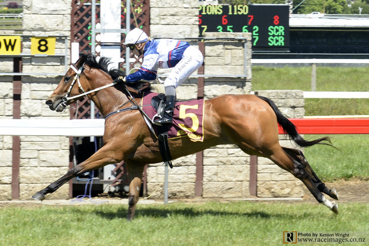 One to Watch: Eridani